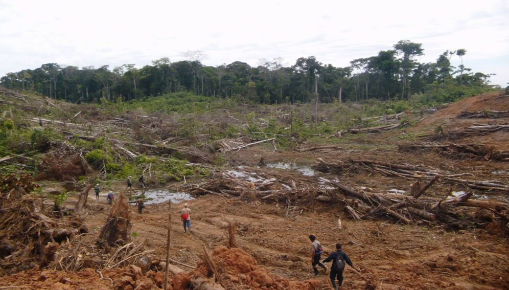 Proteja a Amazônia: Diga Não à Deforestação Ilegal